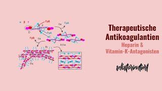 Physiologische Antikoagulantien - Antithrombin III | Protein C und Cofaktor S System | Definition