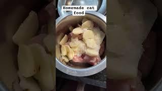 Homemade cat food #cats #kitty #youtubeshorts #kitten #cutekitty #cutecat #cute #kittycat #cutepet