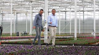 Making growers successful - Syngenta Flowers