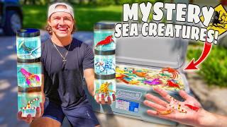 Stocking My SALTWATER POND With Tons of EXOTIC SEA CREATURES! (Shopping Spree)