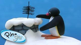 Pingu Does Chores | Pingu Official | 1 Hour | Cartoons for Kids