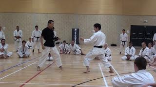 Yahara Sensei - Compression and expansion .