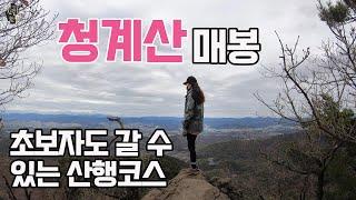 [4K] 청계산 등산 초보자도 쉽게 갈 수 있는 산행 코스