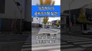 임장하다가 노른자땅 발견! 월세 받으면 너무 좋겠네~ #노른자땅 #금싸라기땅 #건물주