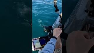 That escalated quickly… kayak fishing chaos  #fishing #shorts