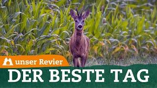 Das ist der beste Blattjagd-Tag | An diesem Tag springt der Rehbock | unser Revier | #69