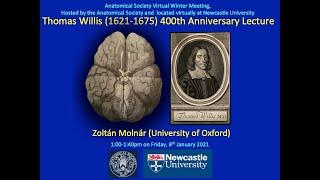 Thomas Willis (1621-1675) 400th Anniversary Lecture, Anatomical Society Meeting 2021 - Zoltan MOLNAR