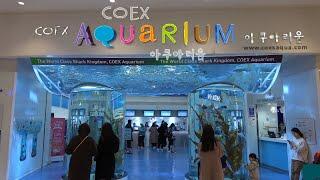 (Travel Vlog) COEX Aquarium 코엑스 아쿠아리움 Seoul South Korea Travel