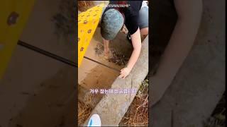 빗물에 강아지 구조