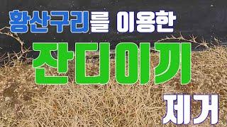 황산구리를 이용한 잔디 이끼 제거