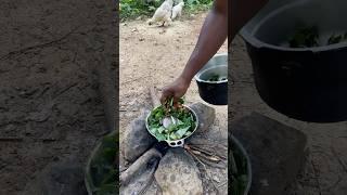 Outdoor Cooking Jamaica | Jamaican Callaloo + Saltfish #jamaica #asmr #outdoorcooking #shortsfeed