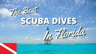 Top 10 Scuba Dives In Florida