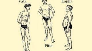 The Ayurvedic Body Types and their Characteristics (Vata, Pitta, Kapha)