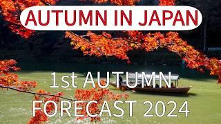 2024 Japan first Autumn Leaves Forecast to Plan Your Perfect Trip