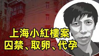 上海小紅樓：性奴、取卵、代孕，專門搞定領導，1300處房產，盈利10個億，一個小裁縫用女人血淚鑄成的通天塔