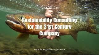 Sustainability Consulting | Emerger Strategies