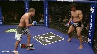 UFC Ninja Knockout