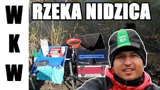 Wędkarstwo Kazimierza Wielka- rzeka Nidzica