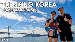 Walking Between Busan's Two Most Famous Beaches  Korea Dulle Trail Ep.2