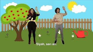 Bam Bam Tam - SİYAH SARI ARI / OKUL ÖNCESİ ve İLKOKUL ÇOCUKLARI için ŞARKILAR