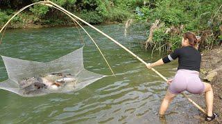 Great Fishing Techniques | Traditional Fishing with Bamboo and Fishing Net | Catch a Lot of Fish