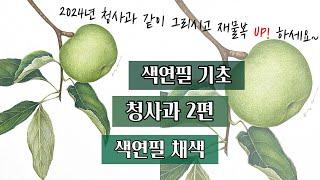 색연필기초/청사과 2편/색연필 채색편/색연필 보태니컬아트 기초/colored pencils botanical art / 초록색 다양하게 사용하는 방법~!!