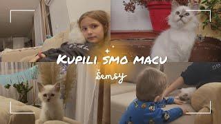 Kupili smo macu | Vlog | Ilda Humic