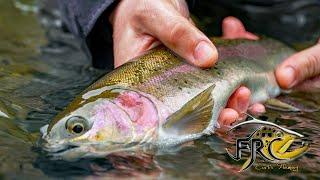 February on the Fly in West Virginia