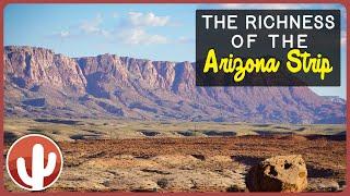 Arizona Strip Expedition: Touring Desert Destinations | Things to Do in This Amazing Area!