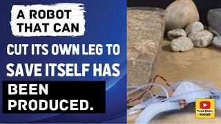 A robot that can cut its own leg to save itself has been produced.