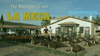 "MONTERÍA EN LA MECA CON MONTERÍAS RIQUELME" en Abenójar ( Ciudad Real ) el 29 de Octubre del 2022.