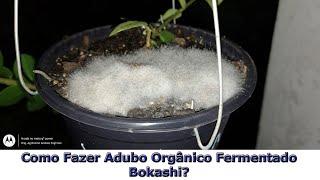 Como Fazer Bokashi? Adubo orgânico vivo!