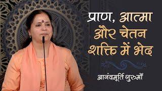 प्राण, आत्मा और चेतन शक्ति में भेद | Anandmurti Gurumaa