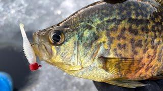 Ice Fishing Crappies - Under Water Strikes! Aqua Vu 715c