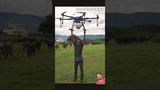 what did they do? lifting the cow for next? #drone #helicopter #dji #automobile #travel #music