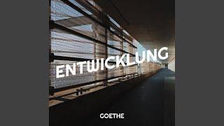 Entwicklung