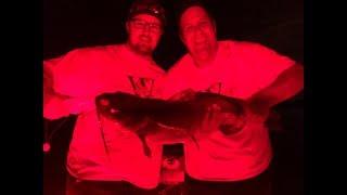 Catching MONSTER Channel Catfish at night