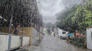 Super heavy rain in my village, very heavy, immediately fell asleep with the sound of heavy rain