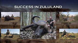 Cape Buffalo & Plainsgame in Zululand South Africa