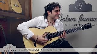 Luciano Ghosn, Juan Mateo & Diego Amaya in Solera Flamenca: Soleá por Bulerías