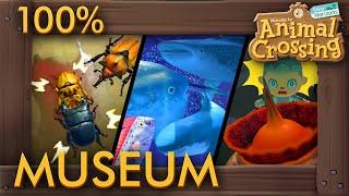 Animal Crossing: New Horizons - Museum 100% Completed Showcase