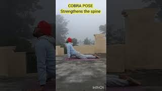 Cobra Pose  #yoga #fitness #homeworkout #yogapractice #homeexercise #shorts