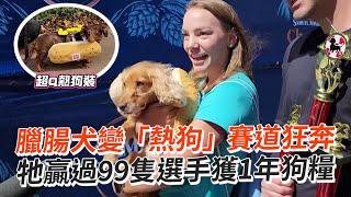 臘腸犬變「熱狗」賽道狂奔=3　牠贏過99隻選手獲1年狗糧 Wiener dogs race for glory in Cincinnati｜寵物動物｜美國｜慕尼黑啤酒節