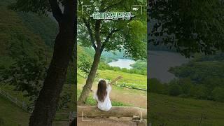 서울 근교 한국의 스위스? 해피초원목장 완벽 즐기는 법