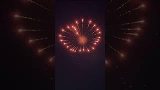 Heartshaped fireworks! 4" display shell #pyro #fireworks #shorts