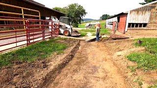 What Are We Building? Farm Improvement Project!