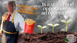 Trump Works At McDonalds?? - Storm Is An Opportunity To Grow