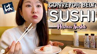 Conveyor Belt Sushi  Hama Sushi Akihabara | Delicious & Cheap!