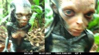 Terrifying Anomalies Caught on Trail Cameras