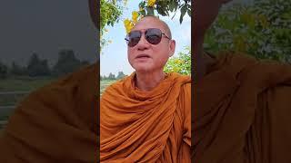 Cập Nhật Visa Cho Thầy Minh Tuệ: Sư Người Thái Hỗ Trợ Gia Hạn Trên Đường Bộ Hành  #suminhtue